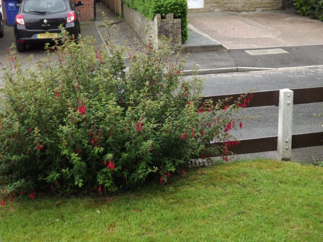 BarrowfordBestKeptGardens2019_148_25pc