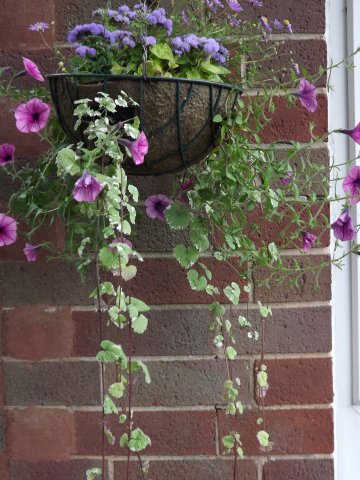 BarrowfordBestKeptGardens2019_150_25pc