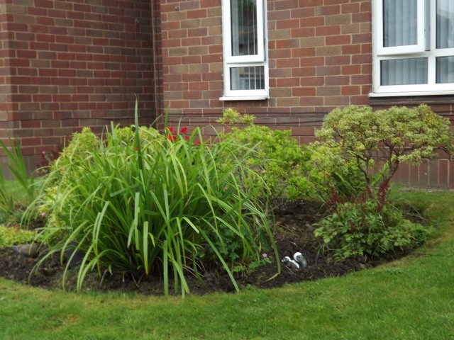 BarrowfordBestKeptGardens2019_155_25pc