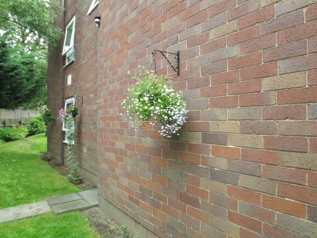 BarrowfordBestKeptGardens2019_162_25pc