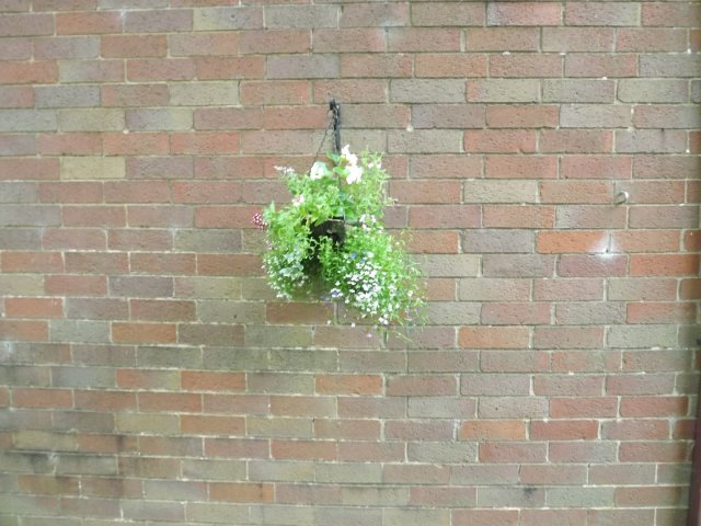 BarrowfordBestKeptGardens2019_164_25pc