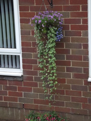 BarrowfordBestKeptGardens2019_171_25pc