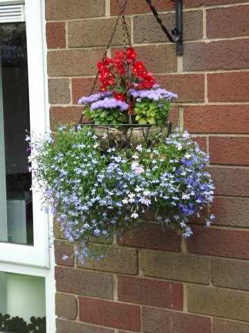 BarrowfordBestKeptGardens2019_172_25pc