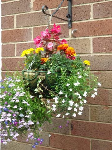 BarrowfordBestKeptGardens2019_174_25pc