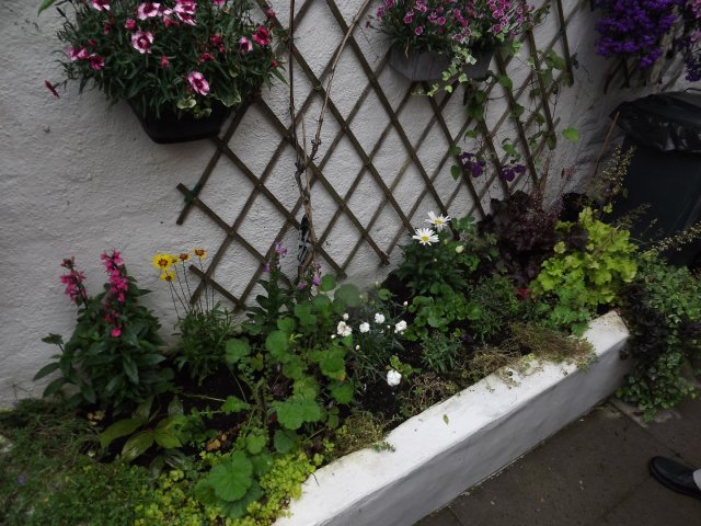 BarrowfordBestKeptGardens2019_194_25pc