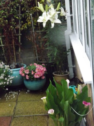 BarrowfordBestKeptGardens2019_224_25pc