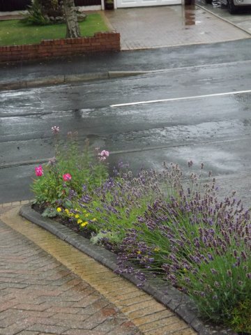 BarrowfordBestKeptGardens2019_226_25pc