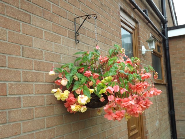 BarrowfordBestKeptGardens2019_245_25pc