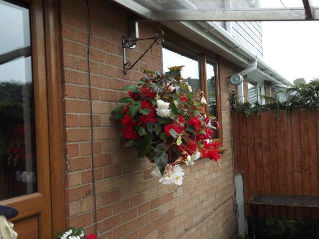 BarrowfordBestKeptGardens2019_252_25pc