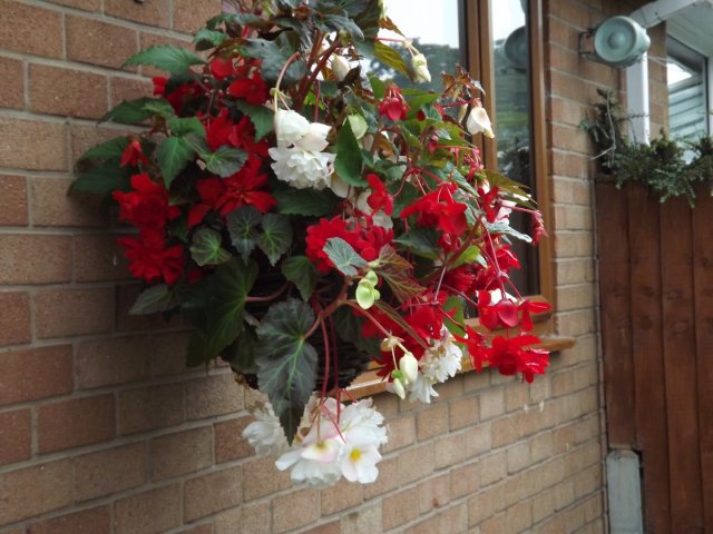 BarrowfordBestKeptGardens2019_253_25pc