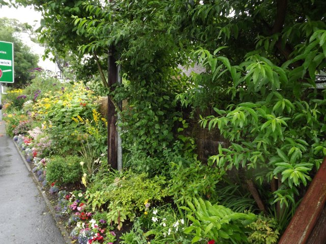 BarrowfordBestKeptGardens2019_281_25pc