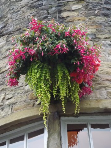 BarrowfordBestKeptGardens2019_293_25pc