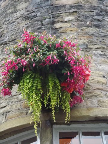 BarrowfordBestKeptGardens2019_294_25pc