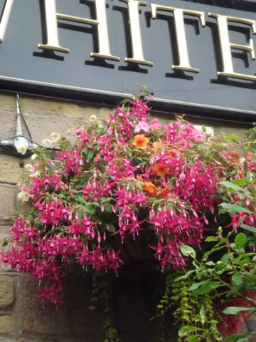 BarrowfordBestKeptGardens2019_297_25pc