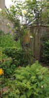 BarrowfordBestKeptGardens2019_033_25pc