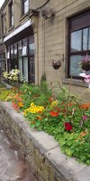 BarrowfordBestKeptGardens2019_057_25pc