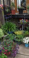 BarrowfordBestKeptGardens2019_123_25pc