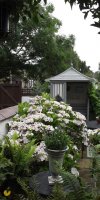 BarrowfordBestKeptGardens2019_135_25pc