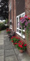 BarrowfordBestKeptGardens2019_145_25pc