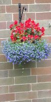 BarrowfordBestKeptGardens2019_170_25pc