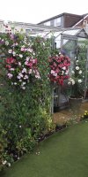 BarrowfordBestKeptGardens2019_215_25pc