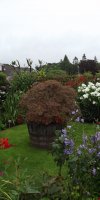 BarrowfordBestKeptGardens2019_228_25pc