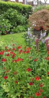 BarrowfordBestKeptGardens2019_229_25pc