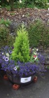 BarrowfordBestKeptGardens2019_313_25pc