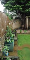 BarrowfordBestKeptGardens2019_328_25pc