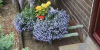 BarrowfordBestKeptGardens2019_023_25pc
