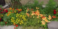 BarrowfordBestKeptGardens2019_061_25pc