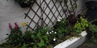 BarrowfordBestKeptGardens2019_194_25pc