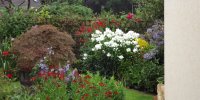 BarrowfordBestKeptGardens2019_237_25pc