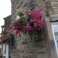 BarrowfordBestKeptGardens2019_064_25pc