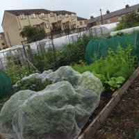 BarrowfordBestKeptGardens2019_107_25pc