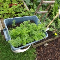 BarrowfordBestKeptGardens2019_118_25pc