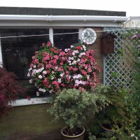 BarrowfordBestKeptGardens2019_214_25pc