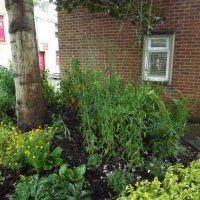 BarrowfordBestKeptGardens2019_318_25pc