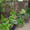 BarrowfordBestKeptGardens2019_122_25pc