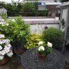 BarrowfordBestKeptGardens2019_140_25pc