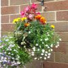 BarrowfordBestKeptGardens2019_174_25pc