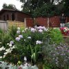 BarrowfordBestKeptGardens2019_205_25pc