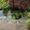 BarrowfordBestKeptGardens2019_272_25pc