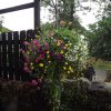 BarrowfordBestKeptGardens2019_292_25pc