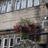 BarrowfordBestKeptGardens2019_300_25pc