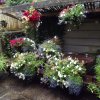 BarrowfordBestKeptGardens2019_306_25pc