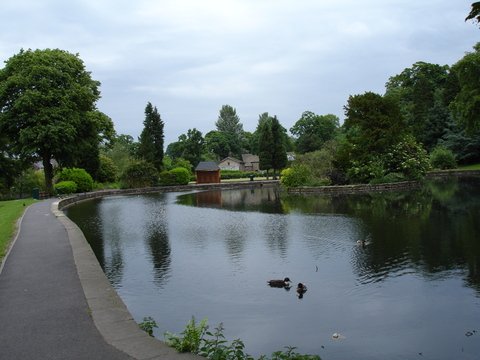 PondInBarrowfordPark